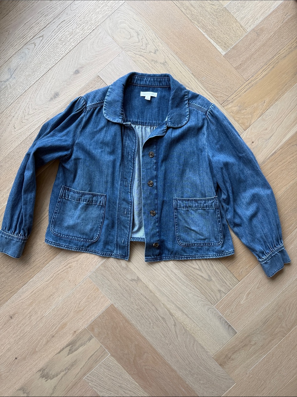Treasure & Bond Washed Blue Denim Button Jacket